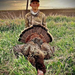 Meet your Posher, Jackson